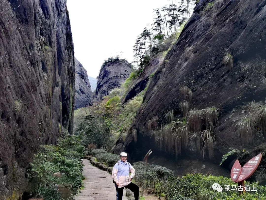 奇山觅宝——与著名画家舒建新一起探访武夷山