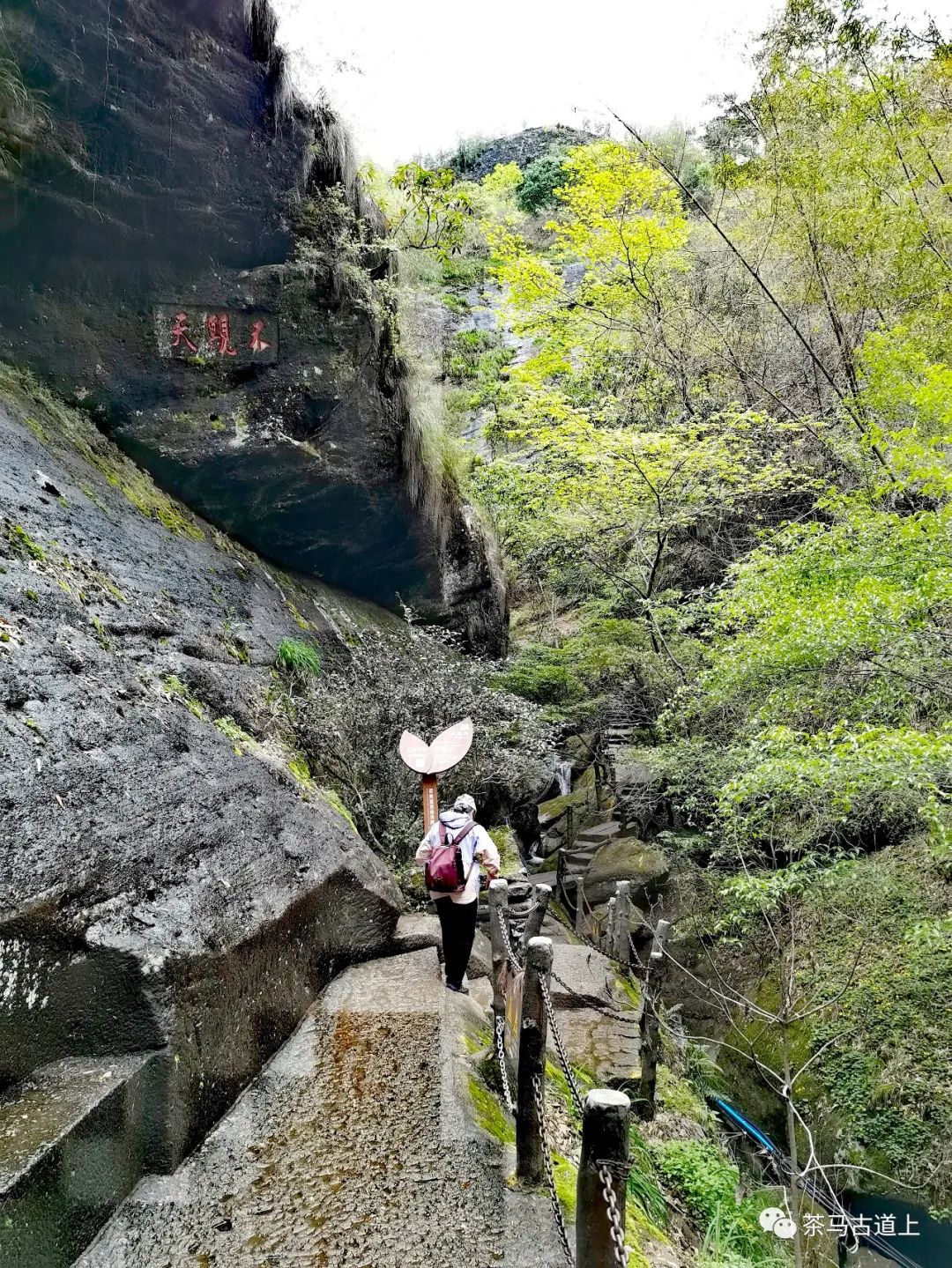 奇山觅宝——与著名画家舒建新一起探访武夷山