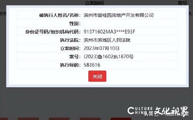 滨州碧桂园被执行58万余元，曾因违法肢解发包遭到处罚