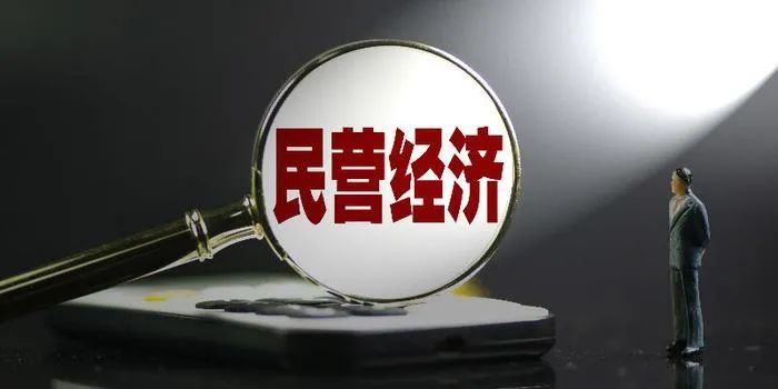 【李想集锦】（212）丨中央首提把民营经济做大做优做强，意义重大