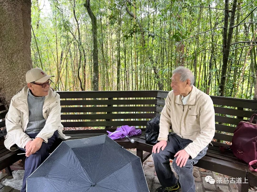 遇到是缘——与著名画家舒建新武夷宫游记