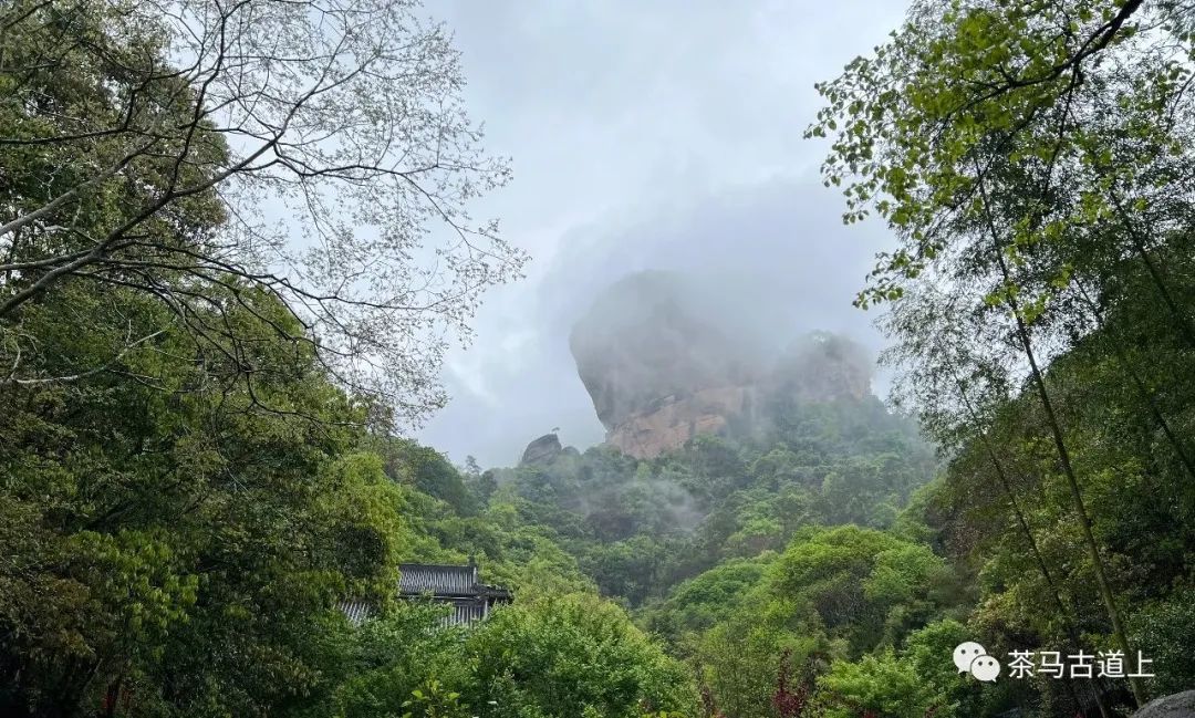 遇到是缘——与著名画家舒建新武夷宫游记