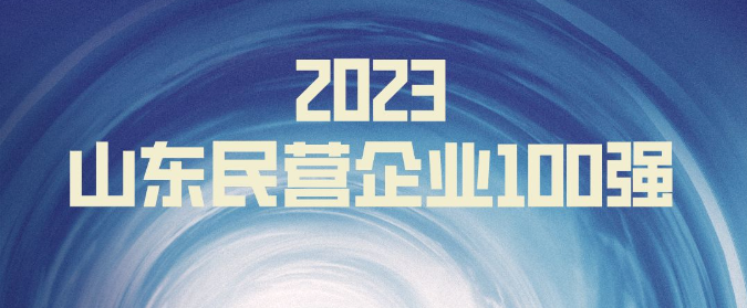 2023山东民企100强公示