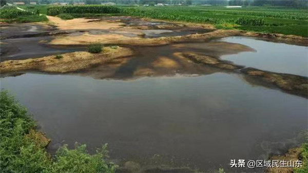 临沂市沂水县四十里堡镇东艾家庄村养殖场占农田倒粪便不堪入目