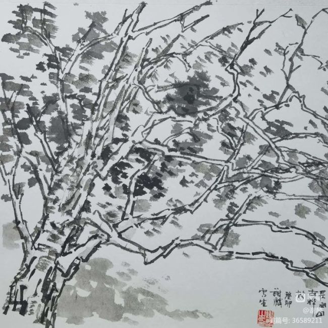 把美景揉入画中——著名画家谢麟采风长白山