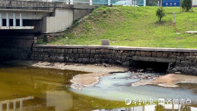 天天3·15丨青岛高新区祥茂河支流臭气熏天，附近居民质疑河臭是因活水变死水