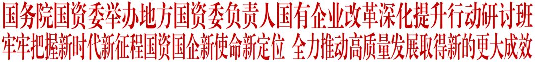 【李想集锦】（213）丨国资委地方负责人研讨班有什么新精神