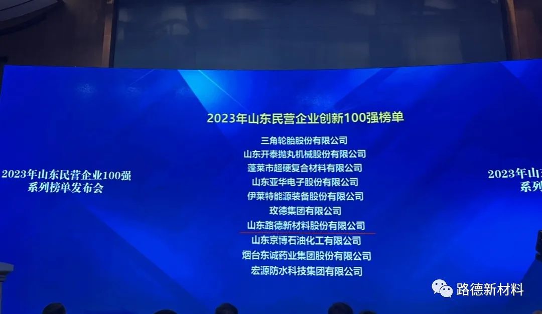 路德公司荣登“2023年山东民营企业创新100强榜单”