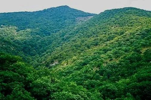 三庆院子：夏正浓，居院子