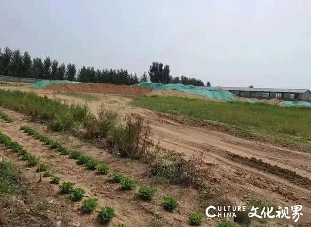 天天3·15丨网友反映：济宁泗水县山水龙城小区施工方偷运地基河沙，希望有关部门介入