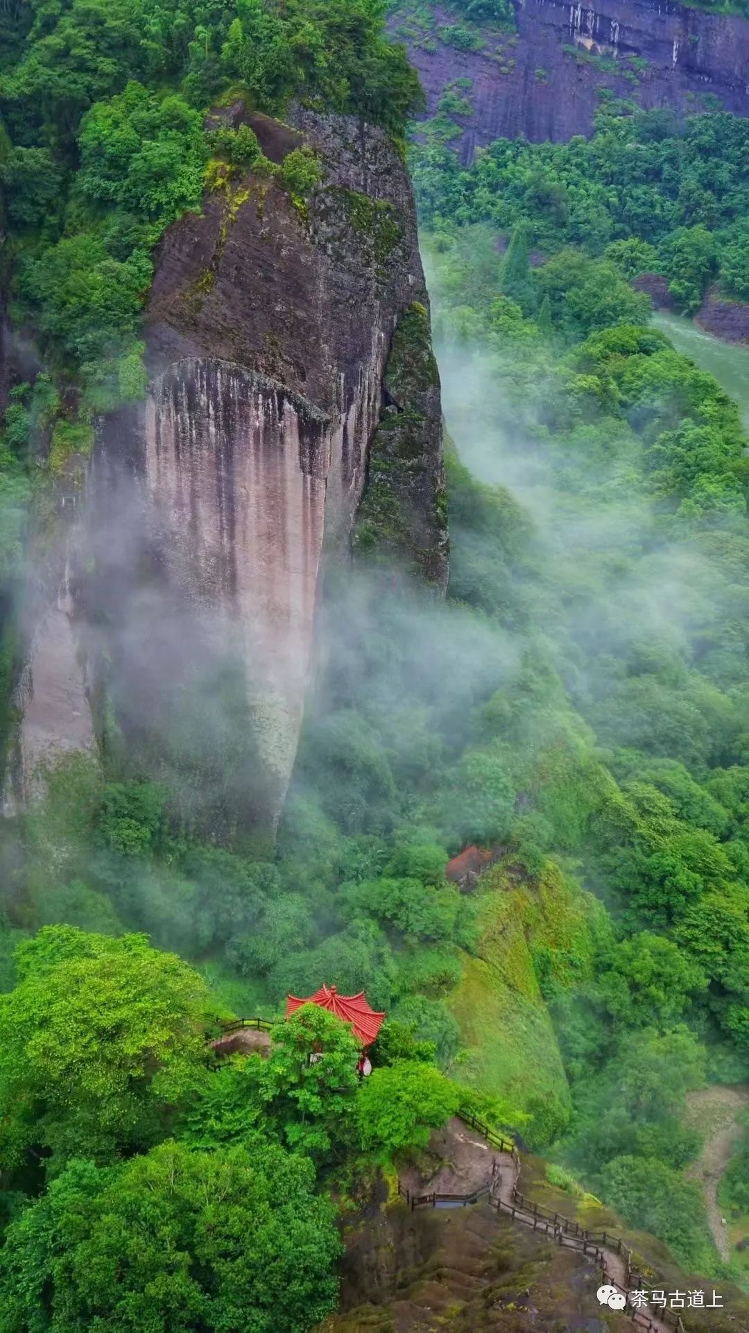 与著名画家舒建新邂逅武夷岩茶，清香甘醇