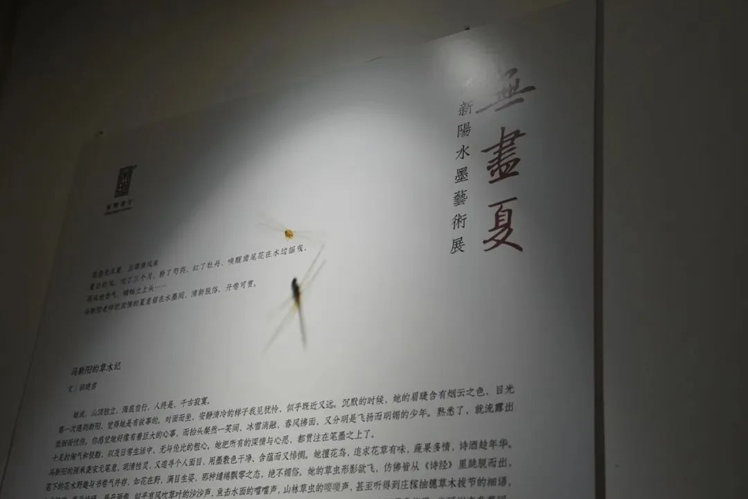 马新阳水墨艺术展 | 悠悠无尽夏，且等清风来