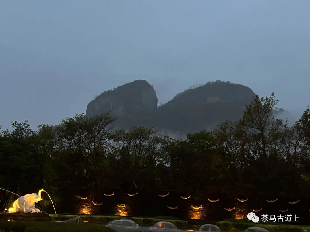 舒建新武夷山之旅：寻美食，品香茗，论茶道