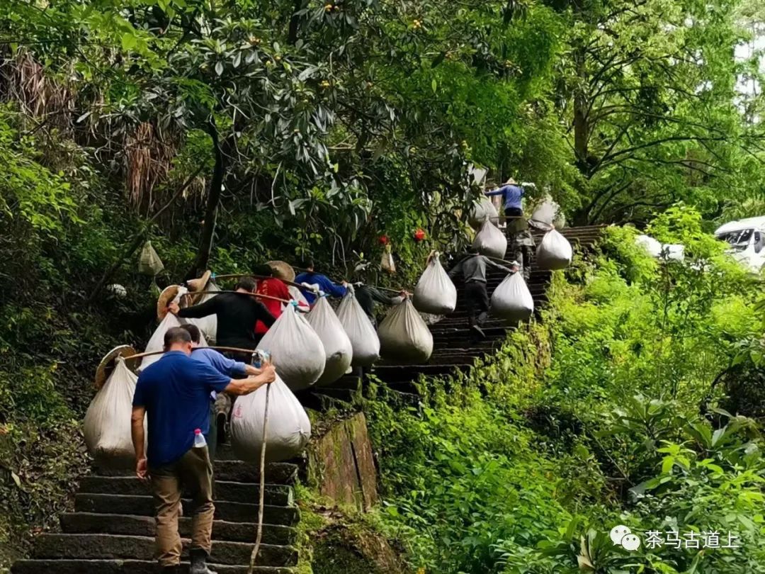 舒建新武夷山之旅：寻美食，品香茗，论茶道