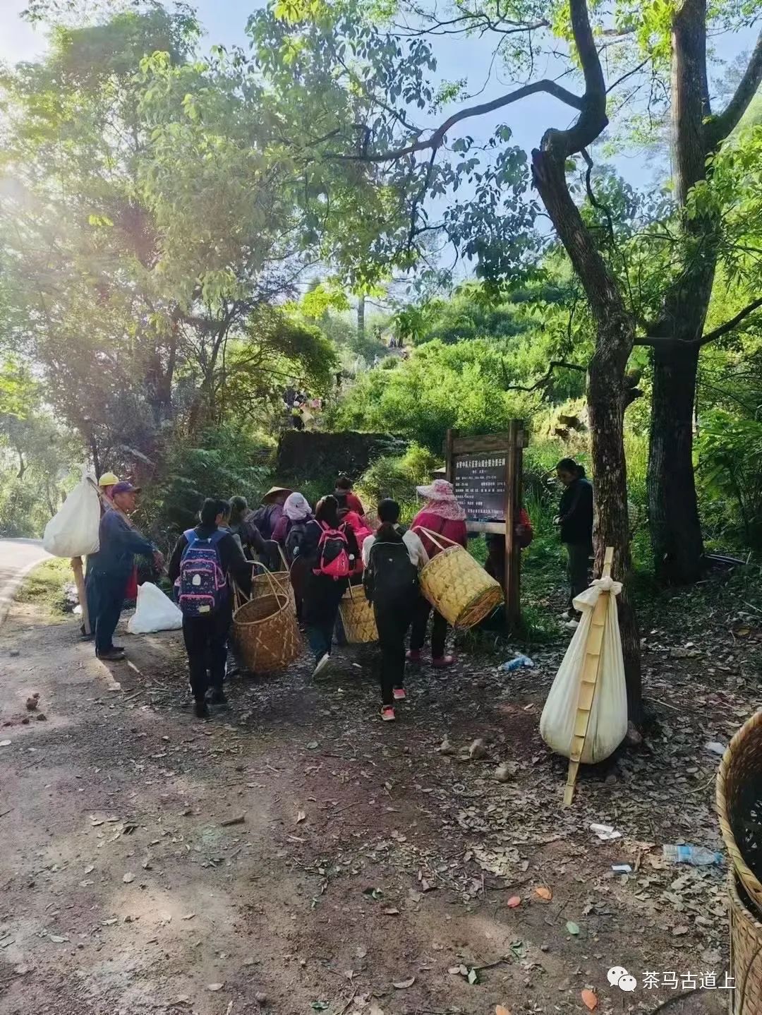 舒建新武夷山之旅：寻美食，品香茗，论茶道