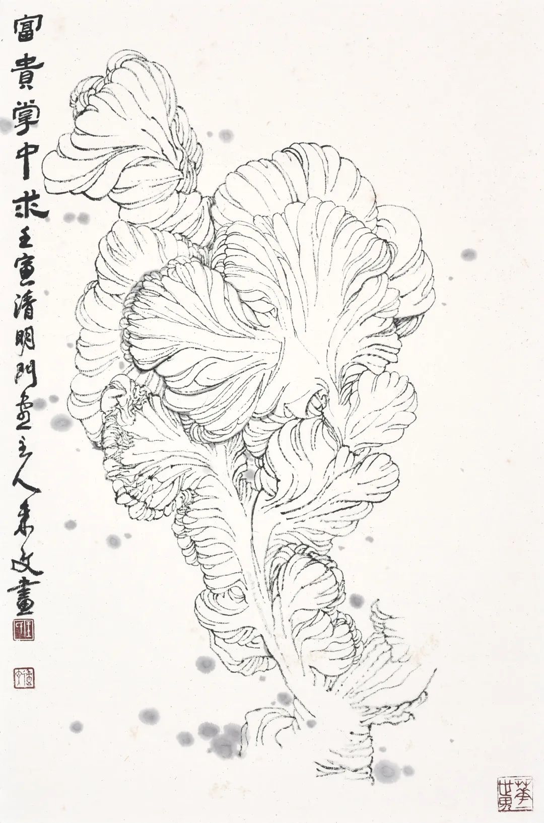 画不完的植物园 | 王来文白描花鸟：寄万象于其中，以禅心看红尘