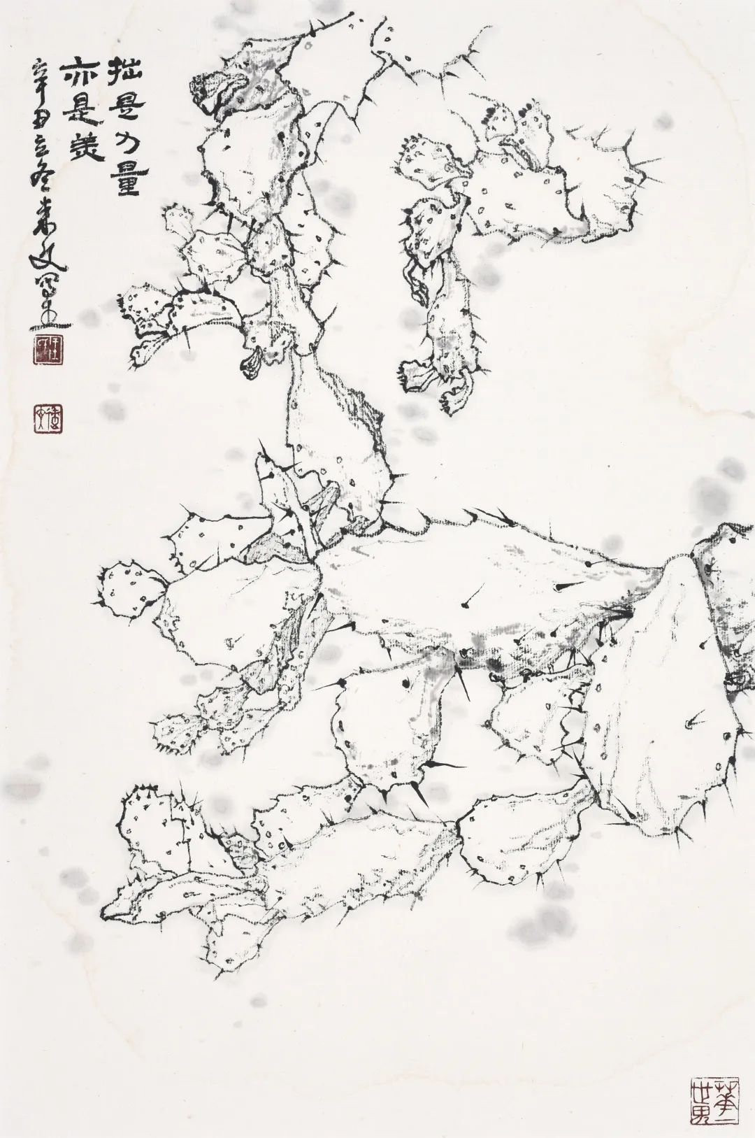 画不完的植物园 | 王来文白描花鸟：寄万象于其中，以禅心看红尘