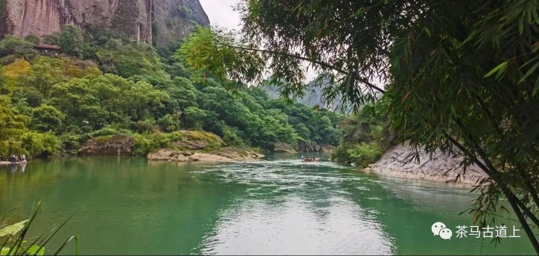 舒建新武夷山写生：碧水环绕清溪行