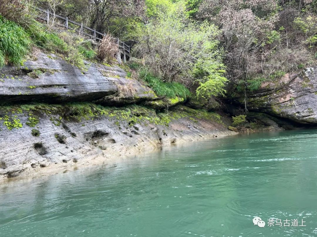 舒建新武夷山写生：碧水环绕清溪行