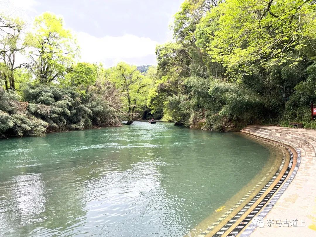 舒建新武夷山写生：碧水环绕清溪行