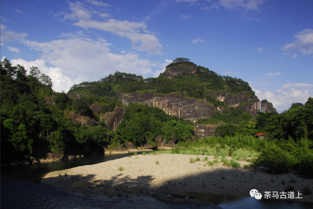 舒建新武夷山写生：碧水环绕清溪行