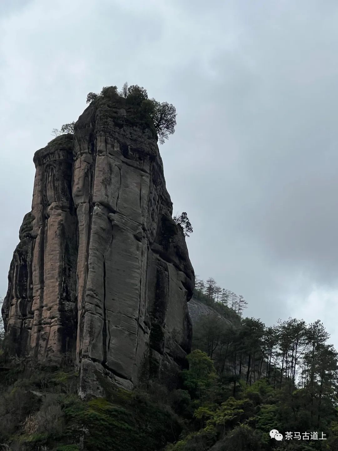 舒建新武夷山写生：碧水环绕清溪行