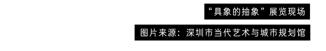 对话丁乙：十示，走向人与生灵