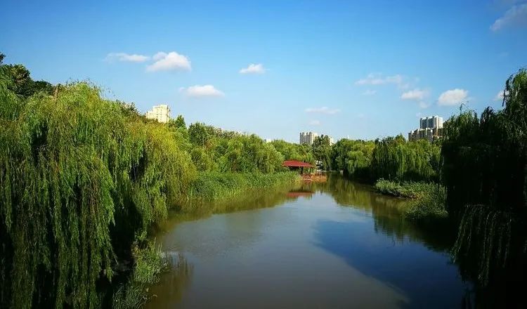 潍坊恒信·虞河院子，打开城市诗意与品质的居住方式