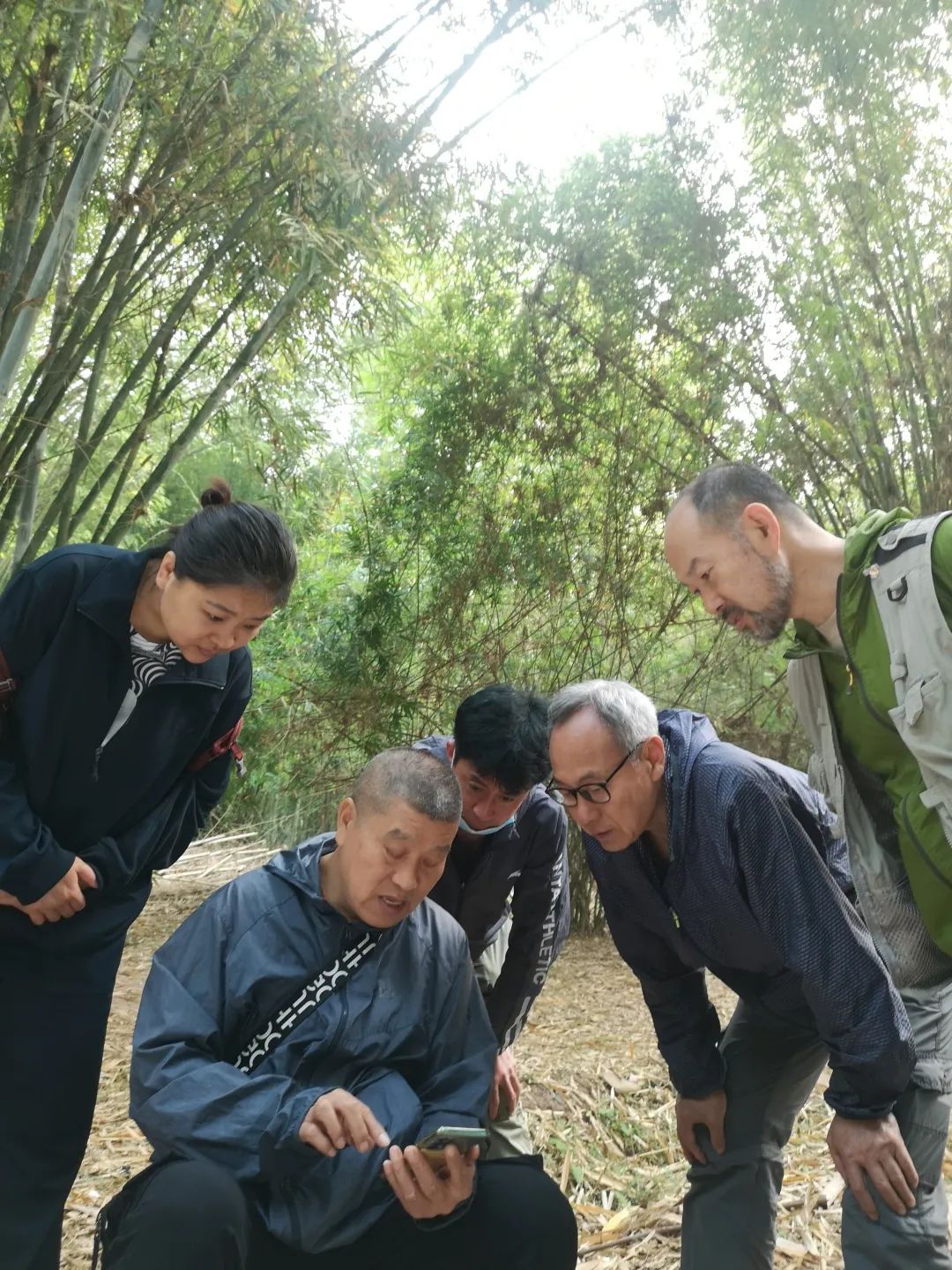 张晖 | 将大自然的精华融入画纸——“2023年写意花鸟画工作室西双版纳写生作品微展”