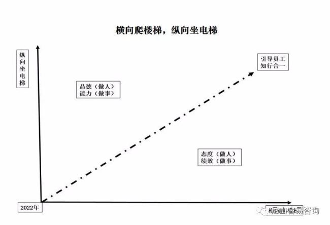 横向爬楼梯 纵向坐电梯——从3A集团的成功，看深化国有企业三能机制改革的积极效果