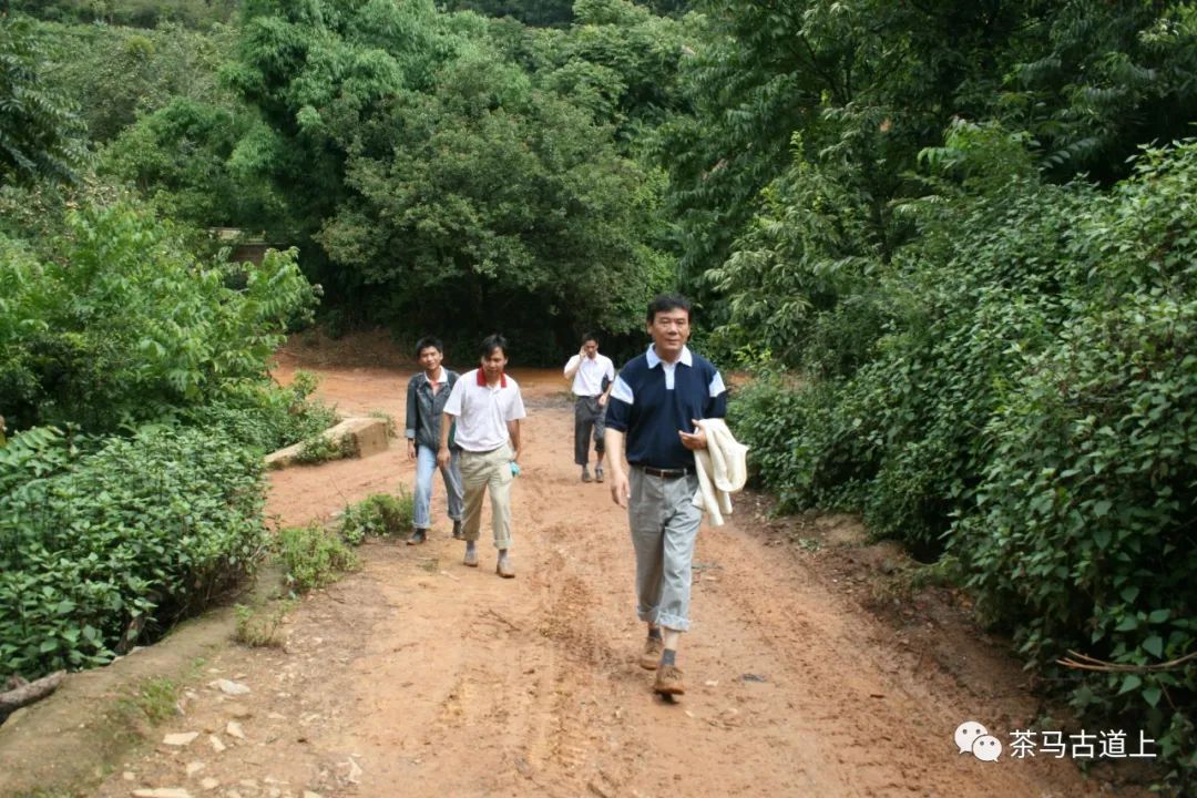 舒建新 | 我艺术生涯的河流中，大运河和澜沧江的山河竟是连着的