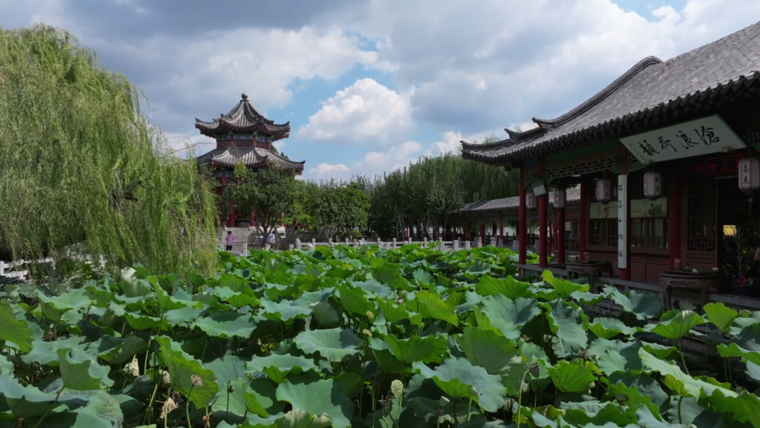 就在明天！中秋与青岛啤酒一起聊点“新鲜”的