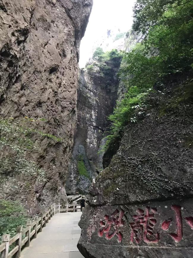 写龙湫灵峰浩荡 追潘氏笔墨遗踪——魏百勇对话雁荡山