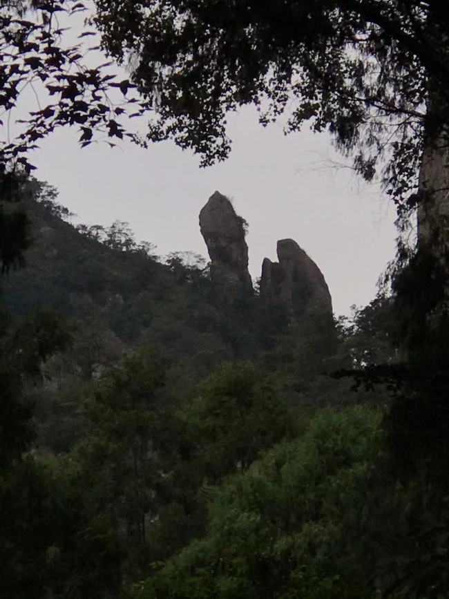 写龙湫灵峰浩荡 追潘氏笔墨遗踪——魏百勇对话雁荡山