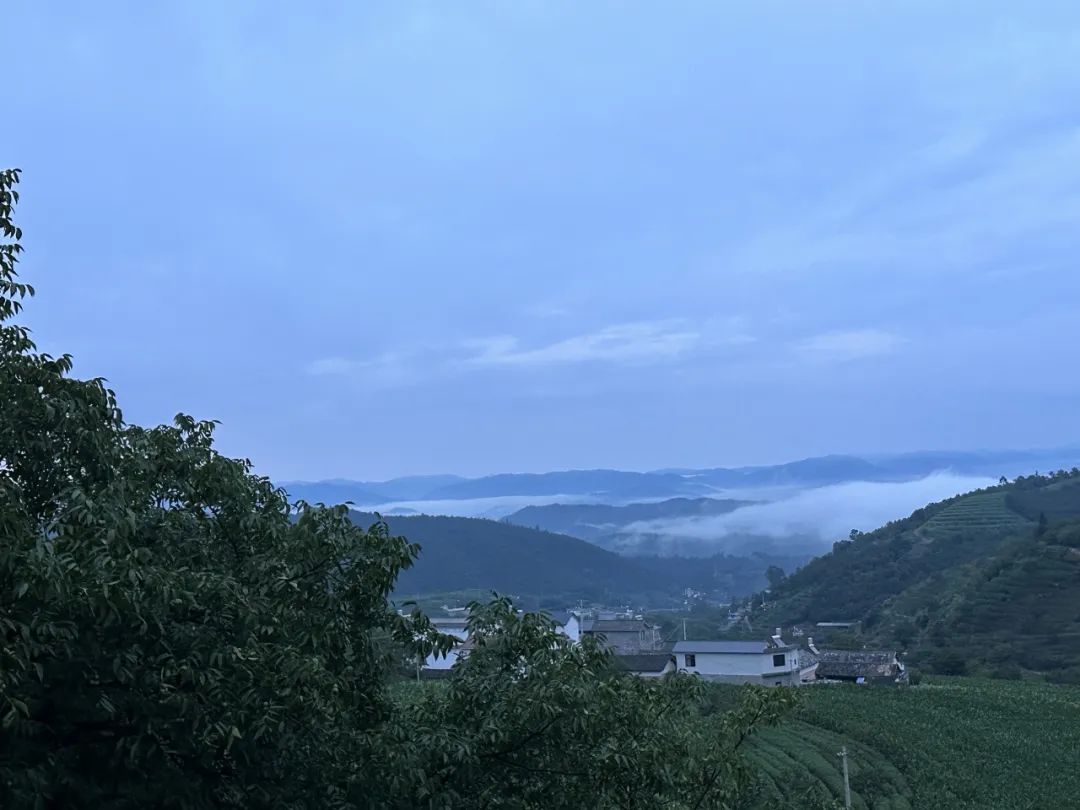 无边风景最堪画，踏雪访梅为写真——唐建写生云南永平县花桥村，再续16载“梅之缘”