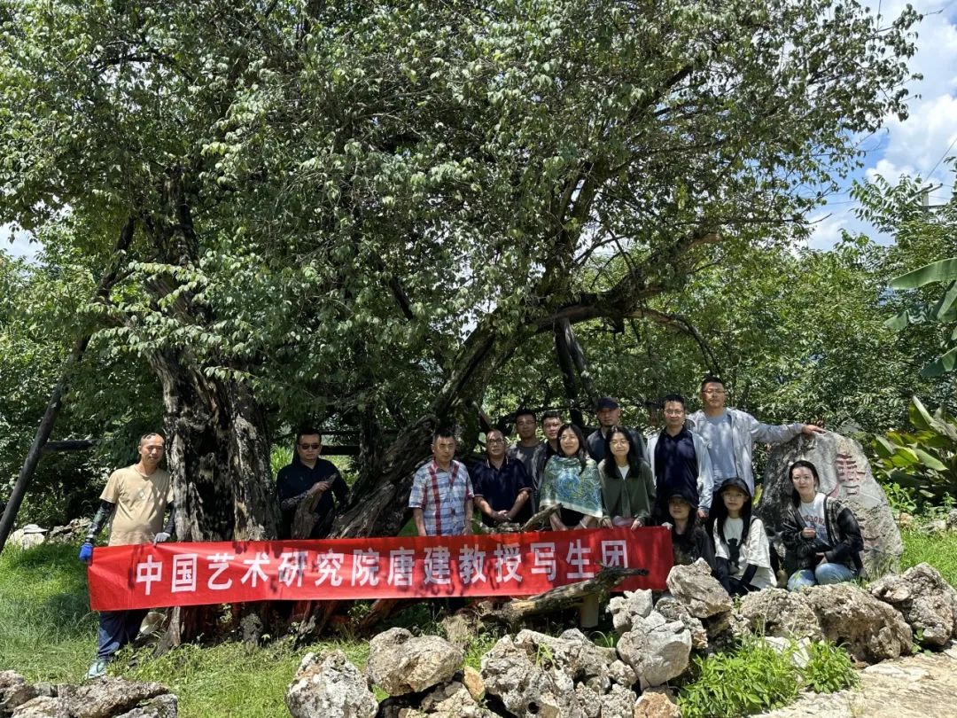 无边风景最堪画，踏雪访梅为写真——唐建写生云南永平县花桥村，再续16载“梅之缘”