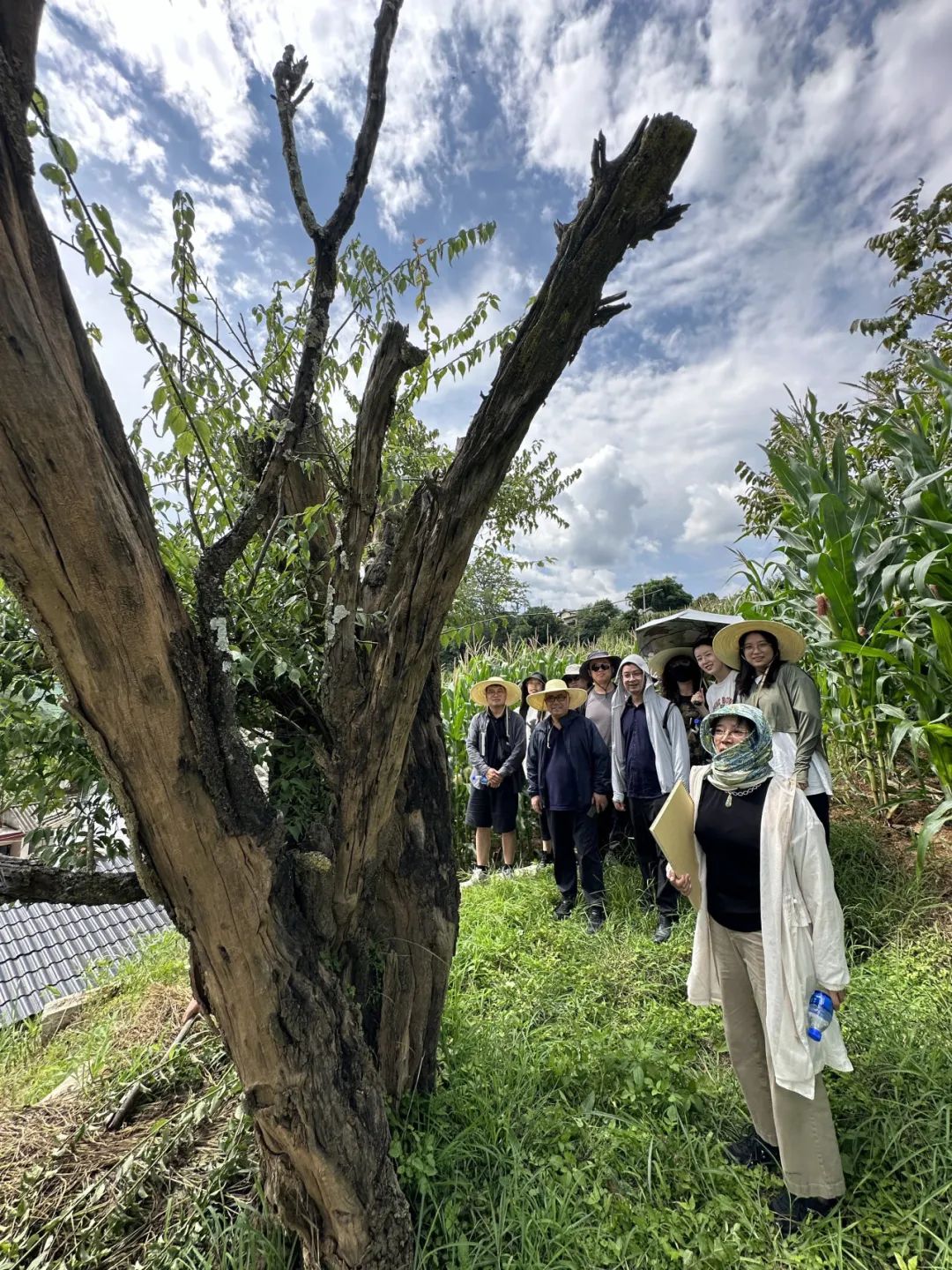 无边风景最堪画，踏雪访梅为写真——唐建写生云南永平县花桥村，再续16载“梅之缘”