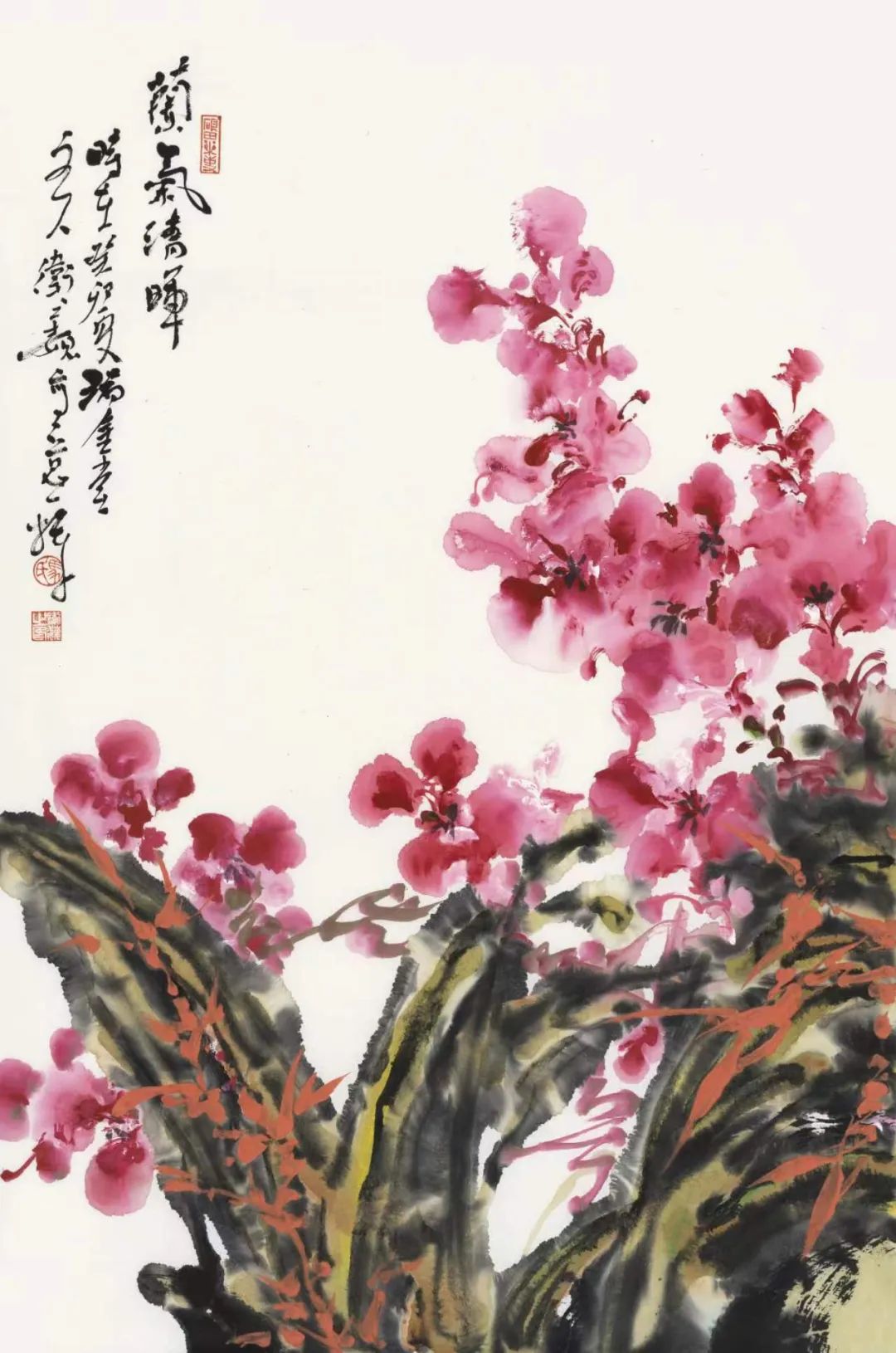 马卫巍 | 画本无心  花鸟有意