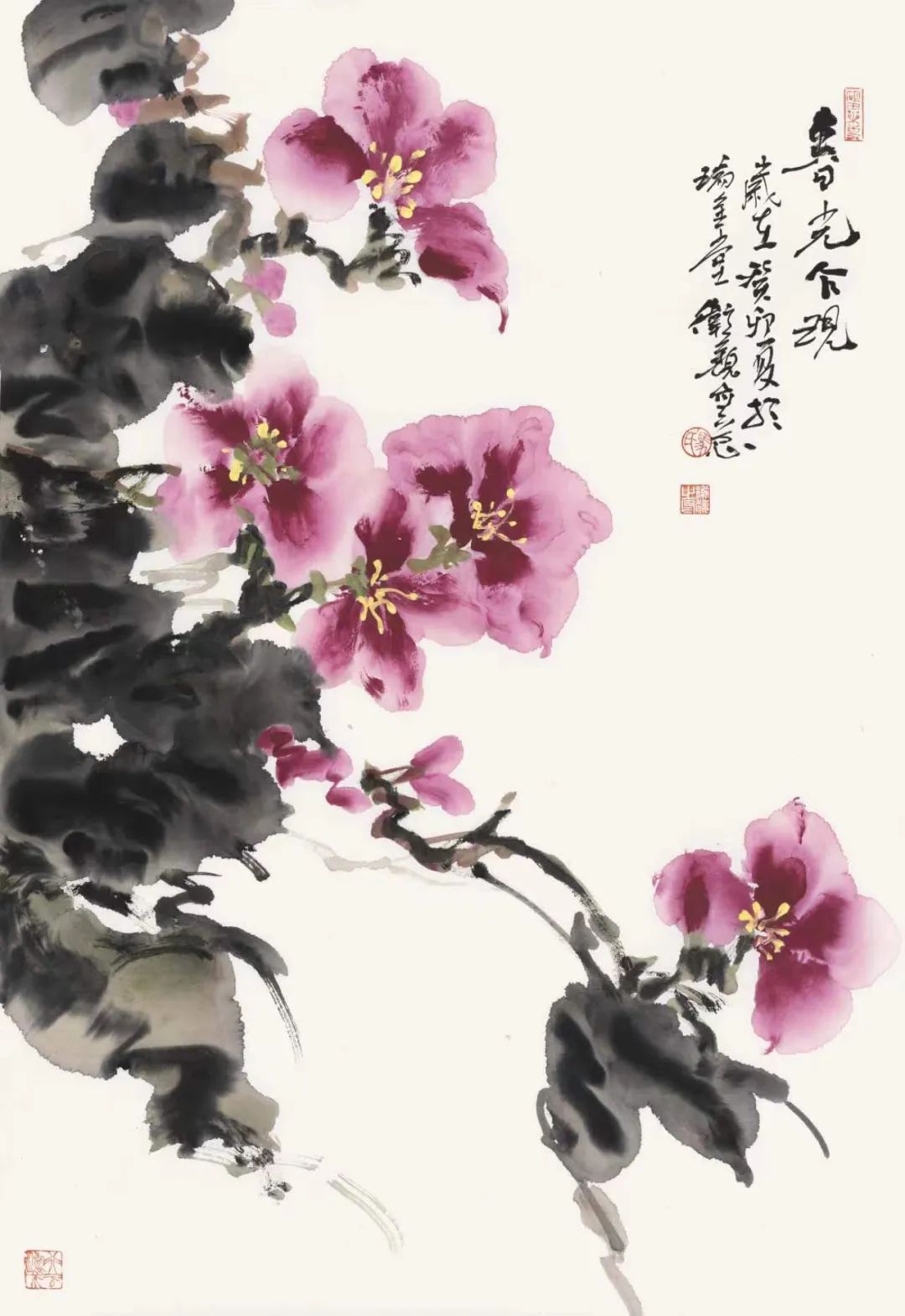 马卫巍 | 画本无心  花鸟有意