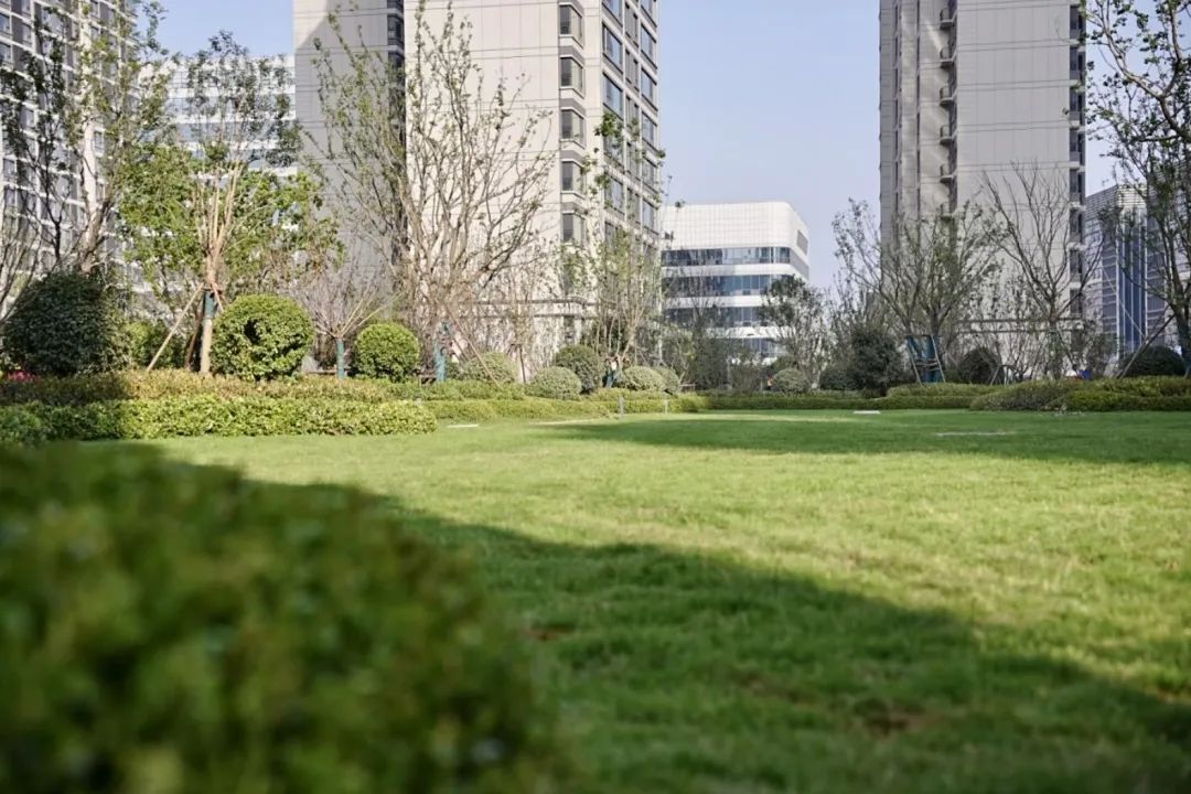 济南银丰玖玺城工地开放活动盛启，超配品质获业主好评