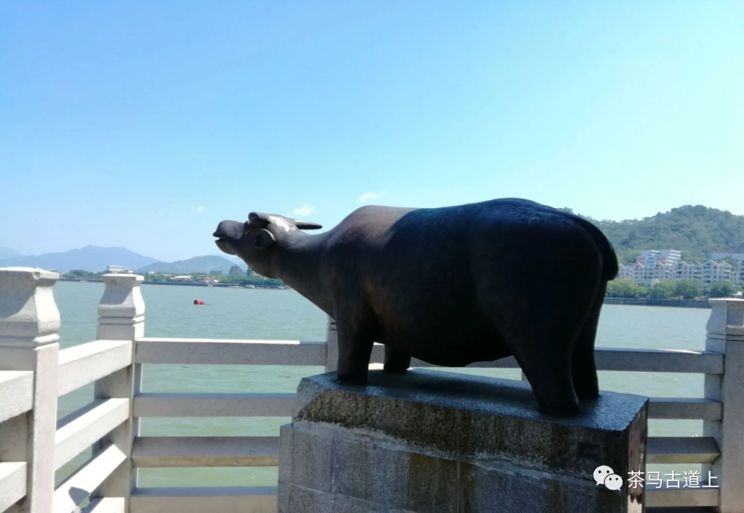 与著名画家舒建新打卡潮州古城，古色古香、韵味十足