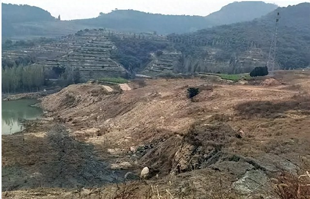 临沂沂水：以水库清淤的名义超范围开采，破坏耕地几十亩、致七八十万吨矿产资源流失