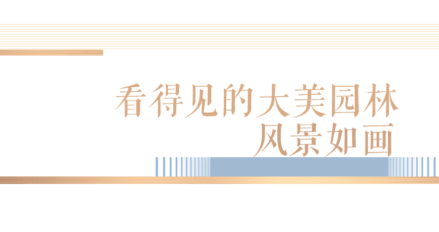 滨州沾化恒信·大都会｜雕琢生活意境，让美好不止于想象