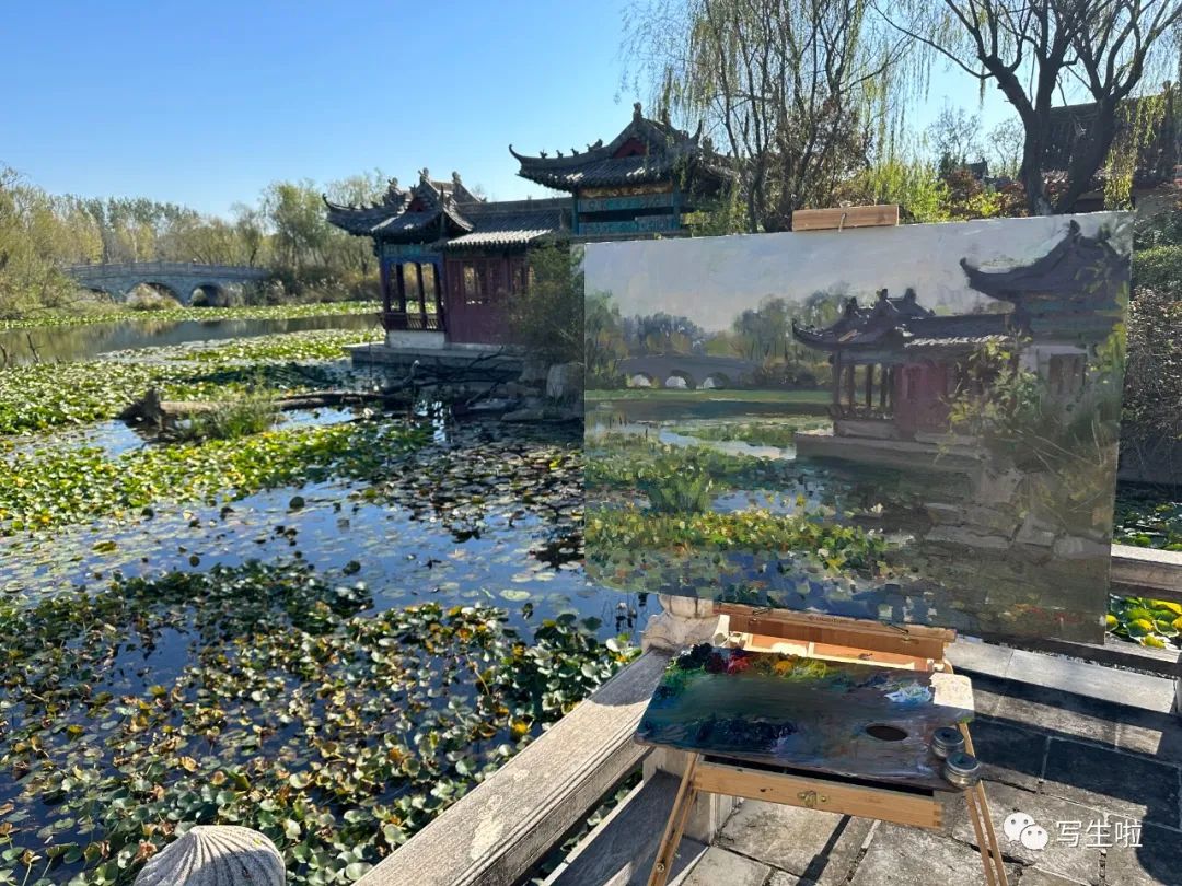 昨夜仙姝歌舞罢，空留草树沐烟霞——王铁牛暮秋写生潍坊白浪河湿地