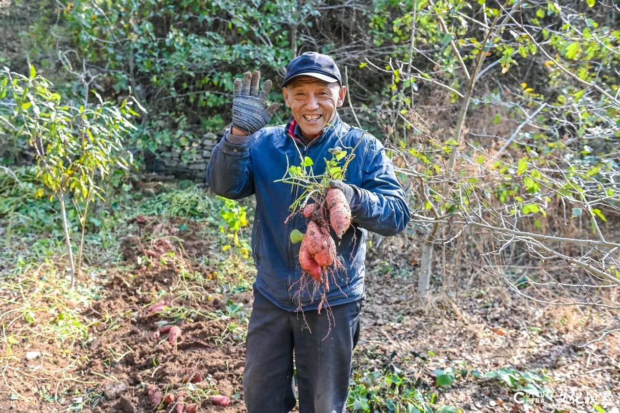 心系农耕，向美而生——莎蔓莉莎助力济南南山乡村振兴