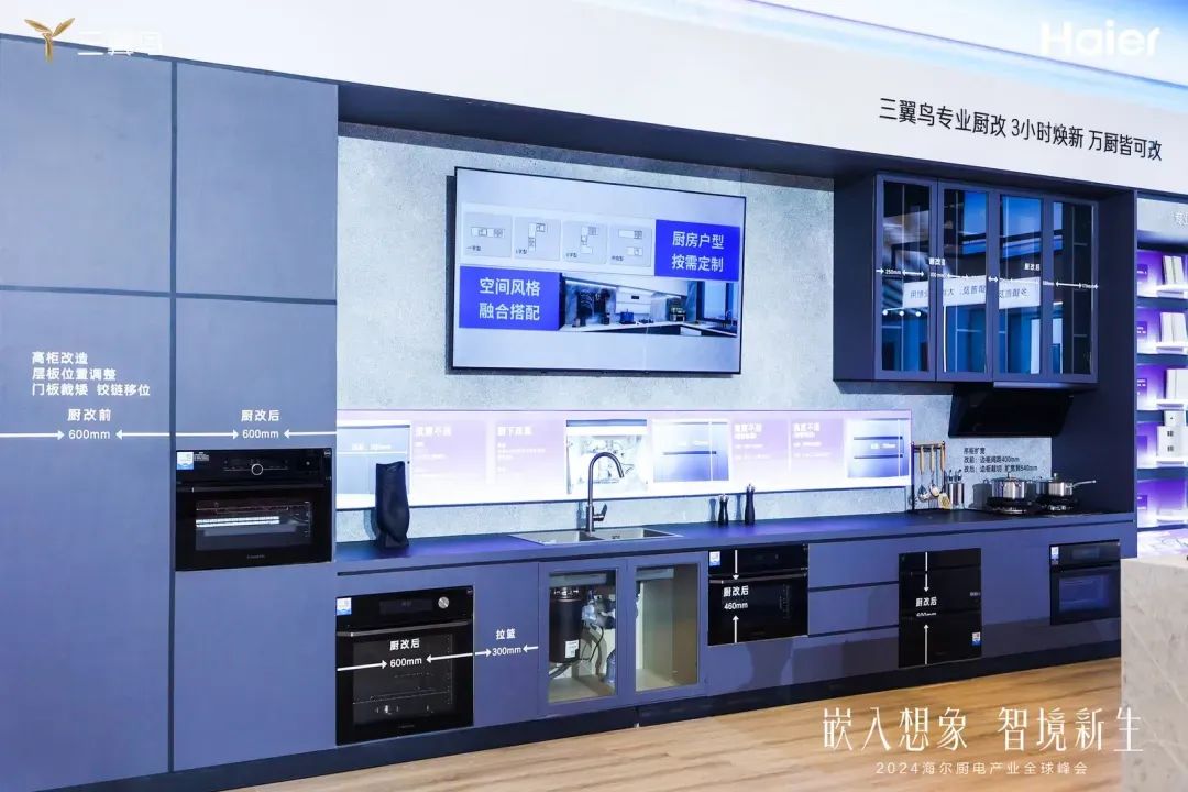 海尔厨电：中国首个超千万台的品牌