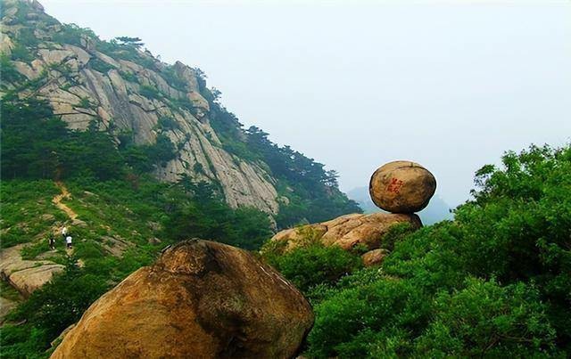 围甲联赛再进棋山，日照山海大象队主场迎战“升班马”山西元工弘奔队