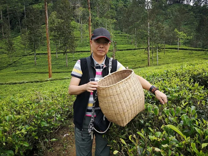 茶与瓷的世界：石古与方可先生的跨界艺术之旅