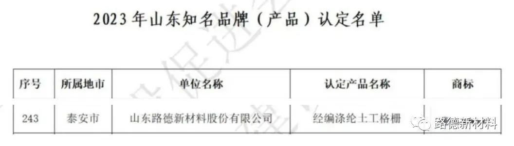 国家级省级行业内各种大奖拿到手软——山东路德新材料股份有限公司2023收获“嘉奖年”