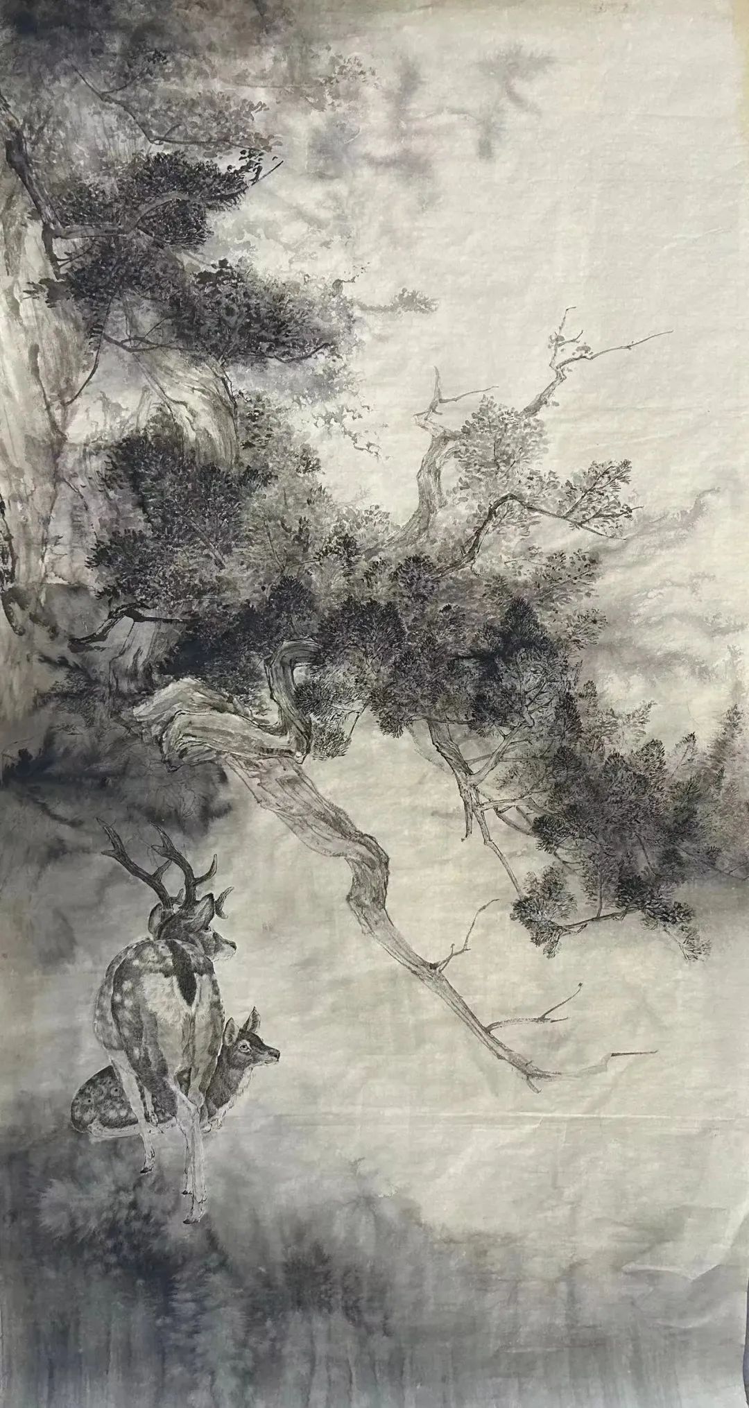 触目横斜千万朵，赏心只有三两枝——中国美院中国画学院张铨师生苏州司徒庙写生之旅